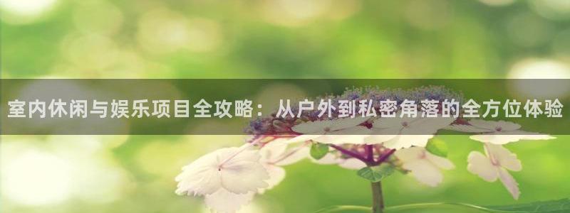 恩佐娱乐：室内休闲与娱乐项目全攻略：从户外到私密角落的全方位体验